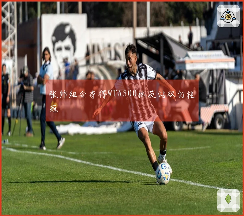 张帅组合夺得WTA500林茨站双打桂冠